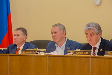 Депутаты приняли отчет полиции 